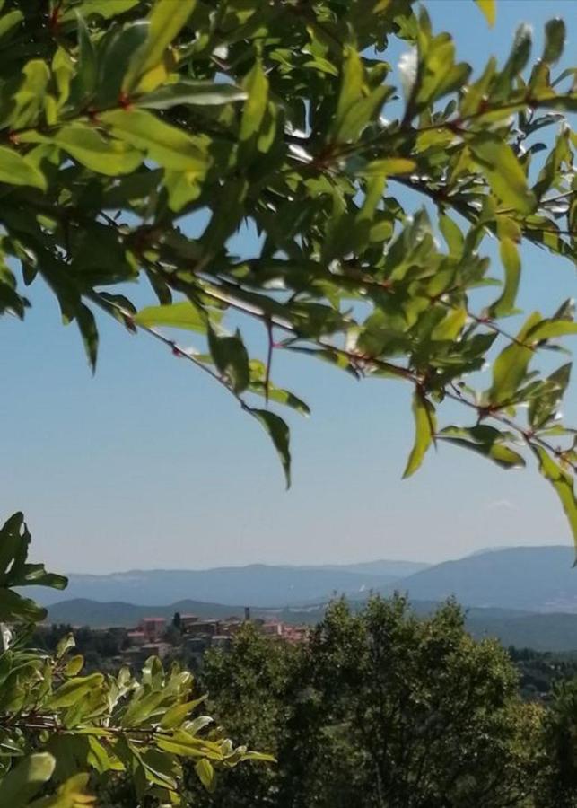 Beautiful Apartment With Exclusive Garden And Terrace Monteverdi Marittimo Zewnętrze zdjęcie